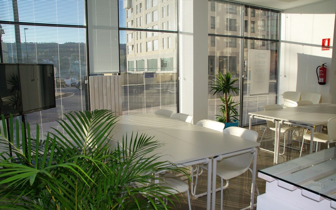 Alicante Opens Free Coworking Space to Boost Local Entrepreneurship
